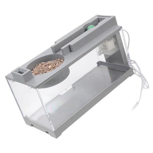 TOYANDONA Aquarium mit Pumpe Moderner Platzsparender Fischtank für Büro und Badezimmer Pflegeleicht und Dekorativ für Kleine Räume und Tischdekoration TOYANDONA Aquarium mit Pumpe Moderner Platzsparender Fischtank für Büro und Badezimmer Pflegeleicht und Dekorativ für Kleine Räume und Tischdekoration von TOYANDONA