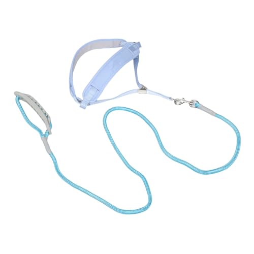 TOYANDONA Atmungsaktive Traction Rope für Kleine Verstellbares Brustgeschirr für Training und Jogging von TOYANDONA