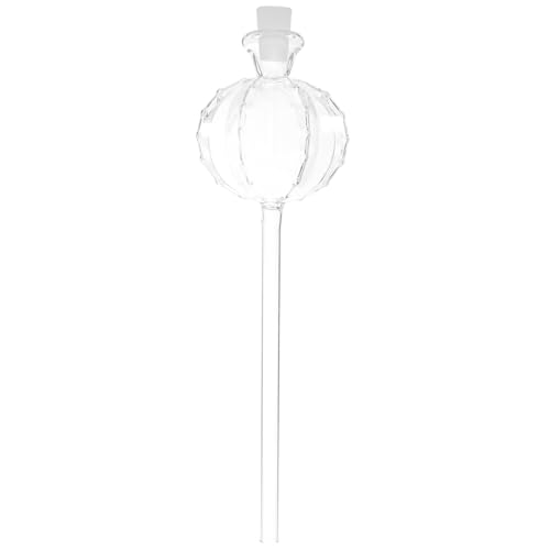 TOYANDONA Automatischer Bewässerungsball Für Pflanzen Selbstbewässerungskugel Für Blumen Und Bonsai Transparent Leicht Und Praktisch Für Pflanzenpflege Zu Hause von TOYANDONA