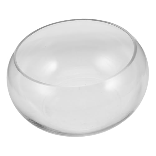 TOYANDONA Blumentopf aus Glas Desktop Schüssel Tank Anlage Pflanztöpfe für Zimmerpflanzen groß Hydroponisches Pflanzengefäß Wasserpflanzen Vase Lotusblütenschale saftige Töpfe Transparent von TOYANDONA