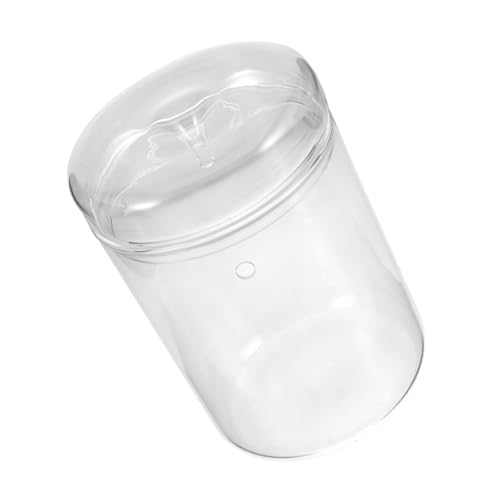 TOYANDONA DIY Glasflasche für Mikrolandschaft Terrarium für Pflanzen und Dekorative Hydrokulturvase Transparentes Ökosystem für Tischplatte und Fensterbank Langlebig von TOYANDONA
