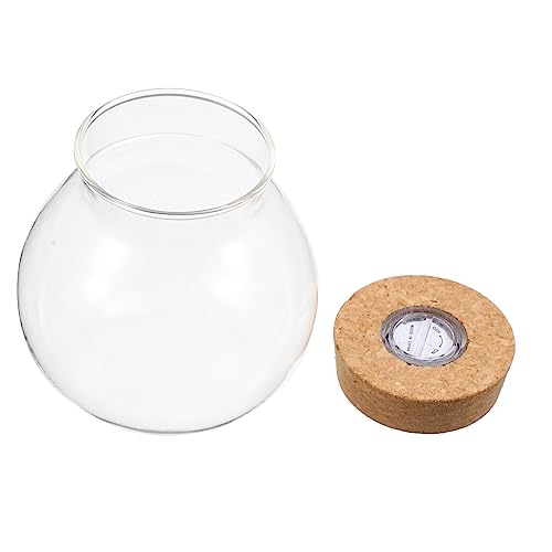 TOYANDONA DIY LED Terrariumflasche aus Borosilikatglas Multifunktionale Fischflasche mit Deckel für Mikro Landschaft und Blumenarrangements für Wohn und Büroräume TOYANDONA DIY LED Terrariumflasche aus Borosilikatglas Multifunktionale Fischflasche mit Deckel für Mikro Landschaft und Blumenarrangements für Wohn und Büroräume von TOYANDONA