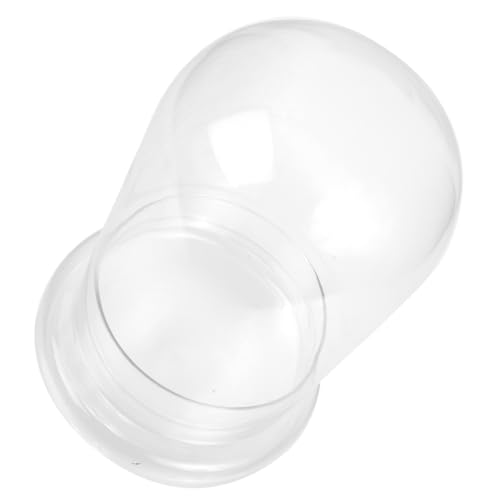TOYANDONA Landschaftsbau Flasche Glasterrarium DIY Pflanze Wachsende Behälter Landschaftsflasche Ökologisch Dekorationsflasche Für Wohnzimmer Schlafzimmer Badezimmer TOYANDONA Landschaftsbau Flasche Glasterrarium DIY Pflanze Wachsende Behälter Landschaftsflasche Ökologisch Dekorationsflasche Für Wohnzimmer Schlafzimmer Badezimmer von TOYANDONA