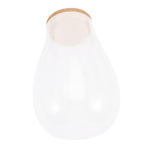 TOYANDONA DIY Moos Ökoflasche mit Holzverschluss Terrarium Micro Landscape Glasbehälter für Wasserpflanzen Propagation Station Transparentes für Innenräume von TOYANDONA