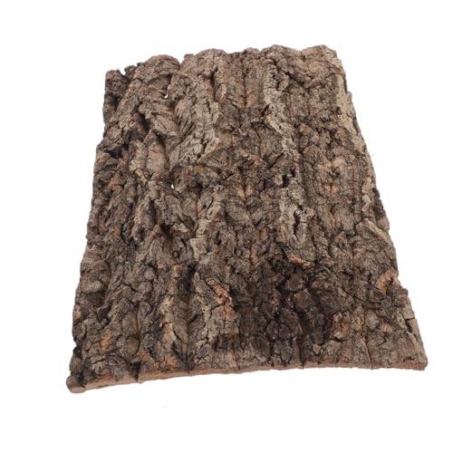 TOYANDONA Dekobrett aus Rinde Rückwände für Terrarien Korkenrinde Reptilien-Hintergrundwand Holz für Aquarium Reptilien-Hohlbaumstamm-Dekoration Schlangentankdekoration hölzern Kaffee von TOYANDONA