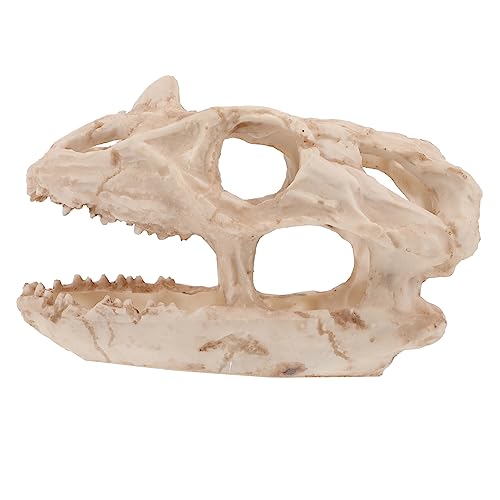 TOYANDONA Dinosaurier Schädel Aquarium Dekoration Resin Versteck für Fische und Reptilien für Aquarienlandschaften Große Horn Dinosaurier Form Langlebig und Realistisch von TOYANDONA