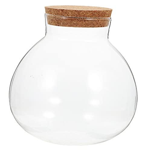 TOYANDONA Eco-Flasche Gläser Moos Terrarium Mikro-landschaftsflasche Winziges Glas Landschaft Flasche Mini-glasflaschen Mit Deckel Jar -pflanzgefäße Pflanzterrarien Minidosen Mit Deckel Kork TOYANDONA Eco-Flasche Gläser Moos Terrarium Mikro-landschaftsflasche Winziges Glas Landschaft Flasche Mini-glasflaschen Mit Deckel Jar -pflanzgefäße Pflanzterrarien Minidosen Mit Deckel Kork von TOYANDONA