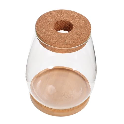 TOYANDONA Glas Terrarium Flasche DIY Pflanzenterrarium Micro Landschaft Flaschengarten Dekoration für Innenräume Multifunktional als Aufbewahrungsglas und Pflanzenflaschengarten Geeignet TOYANDONA Glas Terrarium Flasche DIY Pflanzenterrarium Micro Landschaft Flaschengarten Dekoration für Innenräume Multifunktional als Aufbewahrungsglas und Pflanzenflaschengarten Geeignet von TOYANDONA