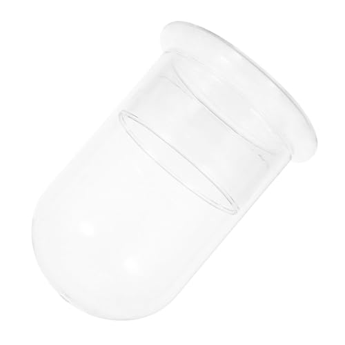 TOYANDONA Glas-Terrarium Flasche Wasserbasiert Pflanzgefäß Ökosystem DIY Mini-Landschaft für Moos Indoor Garten Desktop Hydroponik Vase von TOYANDONA