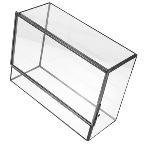 TOYANDONA Glas Terrarium Pflanzenhalter Für Mikrolandschaften Selbstgemacht Landschafts Displayhalter 145x80x195mm Transparentes Gehäuse Für Pflanzen Und Moos Dekoration Für Wohnzimmer TOYANDONA Glas Terrarium Pflanzenhalter Für Mikrolandschaften Selbstgemacht Landschafts Displayhalter 145x80x195mm Transparentes Gehäuse Für Pflanzen Und Moos Dekoration Für Wohnzimmer von TOYANDONA