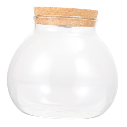 TOYANDONA Glas Terrarium Vase mit Korkdeckel und Licht Hydroponische Pflanzstation Runde Glasflasche für Pflanzenvermehrung Nachhaltige Flasche für Büro und Wohnraumdekoration von TOYANDONA