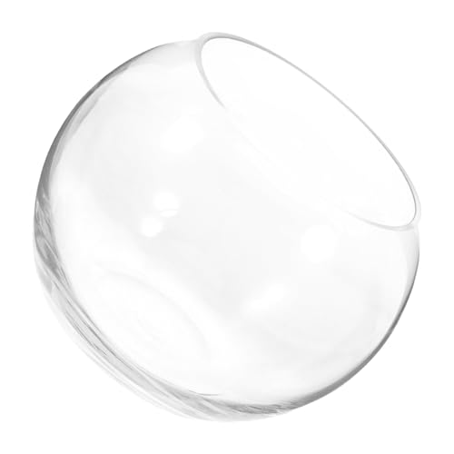 TOYANDONA Glasfischschale Transparente Aquarienvase für Pflanzen und Fische für Wohnzimmer und Bürodekoration Kompakte für Vielseitige Nutzung Hochwertiges Glasmaterial TOYANDONA Glasfischschale Transparente Aquarienvase für Pflanzen und Fische für Wohnzimmer und Bürodekoration Kompakte für Vielseitige Nutzung Hochwertiges Glasmaterial von TOYANDONA
