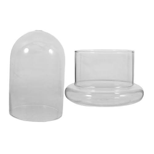 TOYANDONA Glasflasche Terrarium Große DIY Moos Pflanzenflasche Nachhaltiger Pflanzbehälter Tischdekoration Umweltfreundliches Ökosystem Micro Landschaft Pflanzenhalter TOYANDONA Glasflasche Terrarium Große DIY Moos Pflanzenflasche Nachhaltiger Pflanzbehälter Tischdekoration Umweltfreundliches Ökosystem Micro Landschaft Pflanzenhalter von TOYANDONA