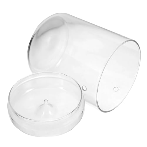 TOYANDONA Glaspflanzen Terrarium Ökosystem Für Sukkulenten Glasflasche Für DIY Dekoration Für Wohnzimmer Und Garten von TOYANDONA