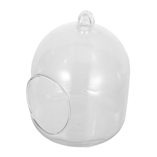 TOYANDONA Glasterrarium mit Moos Pflegeleichtes Rundes Glasgefäß für Schreibtisch Dekoration für Kleine Räume und Vielseitigen Stil TOYANDONA Glasterrarium mit Moos Pflegeleichtes Rundes Glasgefäß für Schreibtisch Dekoration für Kleine Räume und Vielseitigen Stil von TOYANDONA