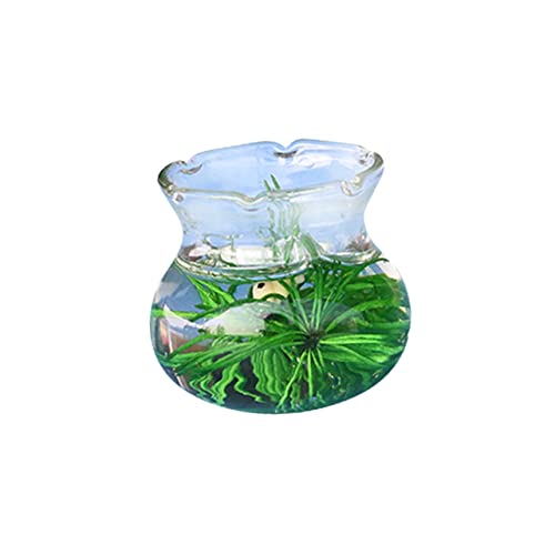 TOYANDONA Goldfischglas aus Glas Autozubehör Autospielzeug für Kinder bürodeko büro Dekoration Modelle Wohnkultur Miniatur-Szenendekor Mini-Hausdekoration Aquarium schmücken Dekorationen von TOYANDONA