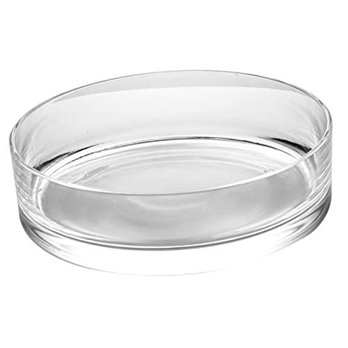 TOYANDONA Große Glasvase Hydroponik Pflanzgefäß Transparentes Terrarium Fischglas Für Hochzeit Party Wohnkultur Tischdekoration von TOYANDONA