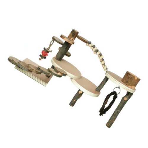 TOYANDONA Hamster-Kletterleiter Klettern drinnen Kletterspielzeug Haustier Hamster kletterleiter Hamster hamsterspielzeug Hamster Toy Mäuseleiter Hamsterleiter Apfelholz von TOYANDONA