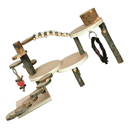 TOYANDONA Hamster-Kletterleiter drinnen Kletterspielzeug Hamster kletterleiter Haustier Klettern Hamster hamsterspielzeug Kletterleiter Rennmäuse Vogelleiter Apfelholz von TOYANDONA