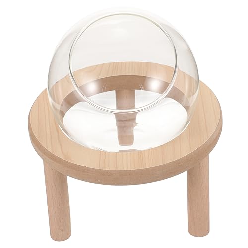 TOYANDONA Hamster Sandbadbox Holzboden Transparente Hamsterbadewanne für Tägliche Pflege Für Hamster Chinchillas und Kleine zu Reinigen und Langlebig TOYANDONA Hamster Sandbadbox Holzboden Transparente Hamsterbadewanne für Tägliche Pflege Für Hamster Chinchillas und Kleine zu Reinigen und Langlebig von TOYANDONA