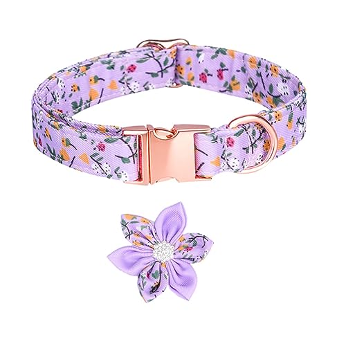 TOYANDONA Haustierhalsband Hund Welpe klein Name Farbe Blumen- Netter Verstellbarer Kragen Dekorative Haustierkragen Katzenhalsband für Haustiere Reine Baumwolle TOYANDONA Haustierhalsband Hund Welpe klein Name Farbe Blumen- Netter Verstellbarer Kragen Dekorative Haustierkragen Katzenhalsband für Haustiere Reine Baumwolle von TOYANDONA