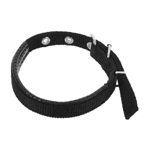 TOYANDONA Haustierhalsband Kätzchenkragen Hundehalsband Für Große Hunde Partyhalsband Für Hunde Halsband Für Haustier Ersatz-hundehalsband Verstellbarer Kragen Gürtelschnalle Aus Legierung TOYANDONA Haustierhalsband Kätzchenkragen Hundehalsband Für Große Hunde Partyhalsband Für Hunde Halsband Für Haustier Ersatz-hundehalsband Verstellbarer Kragen Gürtelschnalle Aus Legierung von TOYANDONA