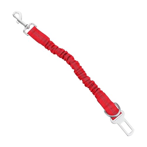 TOYANDONA Haustierleine Hund Welpe Zwinger züchten bellen mehrere sicherungsgurt pet Supplies trainingsleine Dog Accessories leuchtleine Haustierbedarf Haustier-Nylon-Leine Legierung rot TOYANDONA Haustierleine Hund Welpe Zwinger züchten bellen mehrere sicherungsgurt pet Supplies trainingsleine Dog Accessories leuchtleine Haustierbedarf Haustier-Nylon-Leine Legierung rot von TOYANDONA