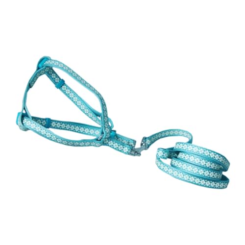 TOYANDONA Haustierleine Trainingsleine für Hunde Haustier Katzenleine universelles Hundeseil Welpengeschirr, Leine führen tragbare Welpenleine Trainingsseil für Hunde Starke Hundeleine Nylon TOYANDONA Haustierleine Trainingsleine für Hunde Haustier Katzenleine universelles Hundeseil Welpengeschirr, Leine führen tragbare Welpenleine Trainingsseil für Hunde Starke Hundeleine Nylon von TOYANDONA