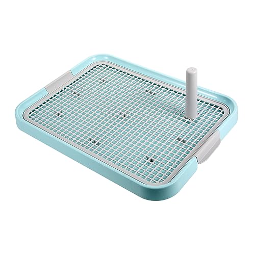 TOYANDONA Haustiertoilette Zubehör Für Haustierzüge Haustier-toiletten-trainingstöpfchen Welpentrainingstoilette Hundetöpfchen Für Den Innenbereich Hundetopf Tablett Sky-Blue Plastik TOYANDONA Haustiertoilette Zubehör Für Haustierzüge Haustier-toiletten-trainingstöpfchen Welpentrainingstoilette Hundetöpfchen Für Den Innenbereich Hundetopf Tablett Sky-Blue Plastik von TOYANDONA