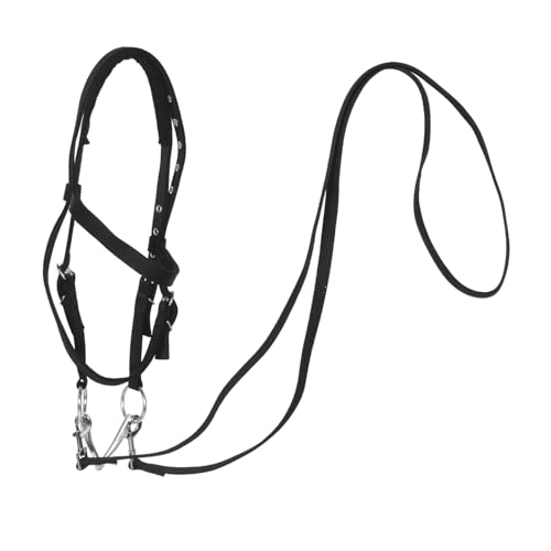 TOYANDONA Western-pferdegeschirr Aus Nylon Ergonomisch Designedes Seilhalfter Für Kleine Pferde Passendes Führstrick Für Training Und Reiten Gebissloses Zaumzeug Mit Bequemer TOYANDONA Western-pferdegeschirr Aus Nylon Ergonomisch Designedes Seilhalfter Für Kleine Pferde Passendes Führstrick Für Training Und Reiten Gebissloses Zaumzeug Mit Bequemer von TOYANDONA