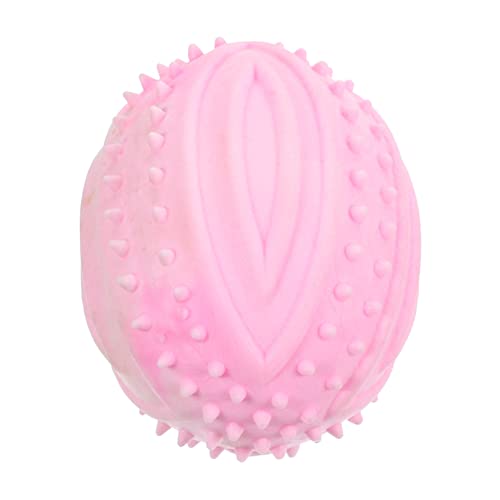 TOYANDONA Hundekautschukkugel Bissresistentes Für Quietschender Ball Für Welpen Fördert Die Zahnpflege Und Spielvergnügen Für Innen Und Außenaktivitäten von TOYANDONA