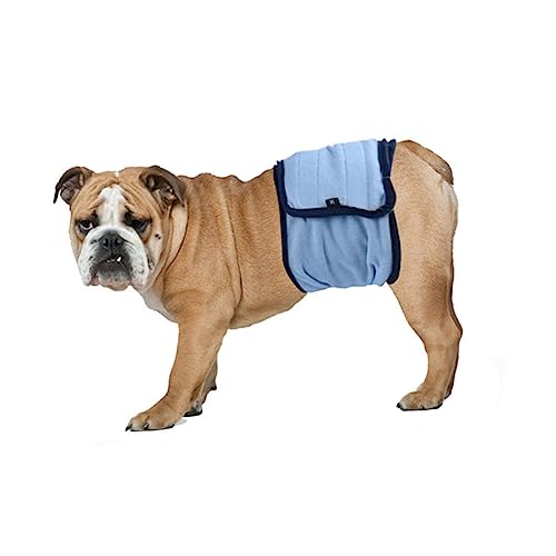 TOYANDONA Hundewindel Für Hündinnen Waschbare Bequeme Physiologische Hose Aus Xs Für Untrainierte Welpen Hündinnen Und Inkontinenzschutz TOYANDONA Hundewindel Für Hündinnen Waschbare Bequeme Physiologische Hose Aus Xs Für Untrainierte Welpen Hündinnen Und Inkontinenzschutz von TOYANDONA