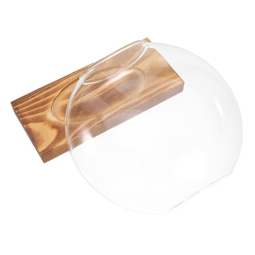 TOYANDONA Hydroponische Vase Transparent Mit Holzsockel Für Innenpflanzen Anzuchtvasen Hydrokultur Blumenarrangement Glasterrarium Für Zimmerpflanzen TOYANDONA Hydroponische Vase Transparent Mit Holzsockel Für Innenpflanzen Anzuchtvasen Hydrokultur Blumenarrangement Glasterrarium Für Zimmerpflanzen von TOYANDONA