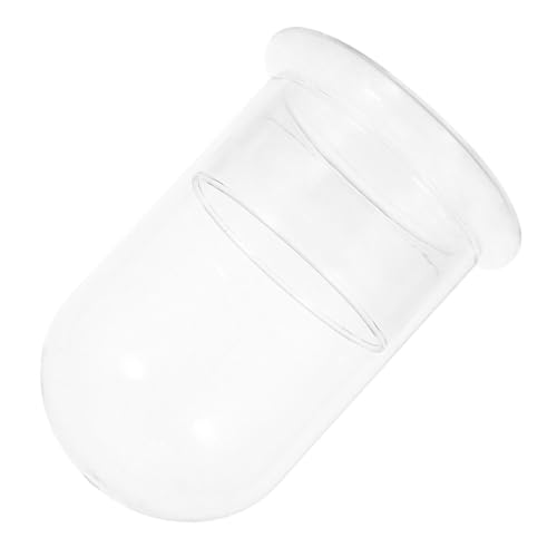 TOYANDONA Hydroponisches Terrarium Glasbehälter Klare Glasglocke für Mini Landschaften Moos und Pflanzen Transparenter Ökosystem Terrarium Container für Dekorative Zimmerpflanzen von TOYANDONA