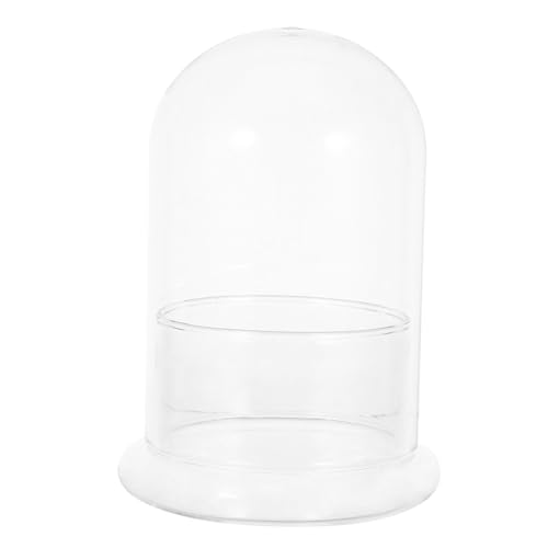 TOYANDONA Hydroponisches Terrarium Glasflasche Pflanzgefäß Klarer Glaskuppel Pflanzbehälter DIY Mikrolandschaft Moos Zimmerdekoration Desktop Geeignet von TOYANDONA