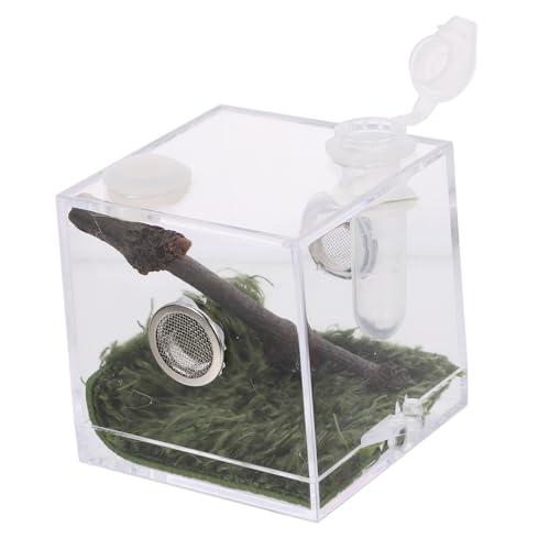 TOYANDONA Kasten Springspinnen-Zuchtbox Lebensraum Fall Spinnenfütterungsterrarium acrylbehälter glasgefäß Spider Box luftbefeuchter Reptilien Zuchtbehälter transparenter Springspinnenkäfig von TOYANDONA