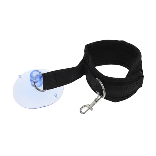 TOYANDONA Katzenbadehalter Hundeleine Robuster Saugnapf Hunde Haustier Badegurt Hundesauger Hundebad Katzenbade Sauger Hundeleinen Fellpflegeleine Hundebad Starke Saugnäpfe TOYANDONA Katzenbadehalter Hundeleine Robuster Saugnapf Hunde Haustier Badegurt Hundesauger Hundebad Katzenbade Sauger Hundeleinen Fellpflegeleine Hundebad Starke Saugnäpfe von TOYANDONA
