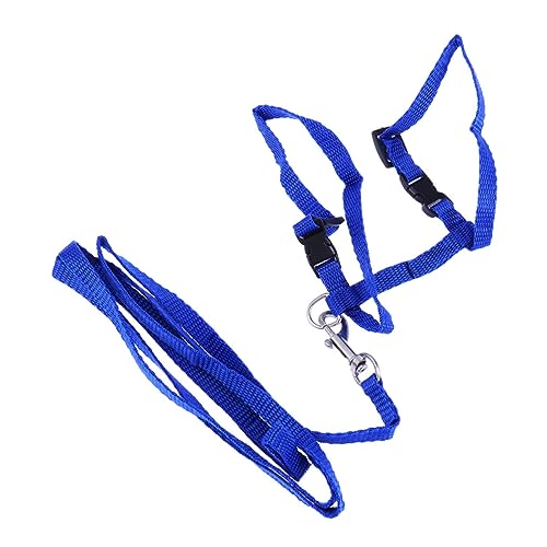 TOYANDONA Katzengeschirr Mit Leine Verstellbares Nylon Für Haustier Zubehör Für Ausflüge Mit Ihrem Kätzchen Langlebig Und Sicher von TOYANDONA
