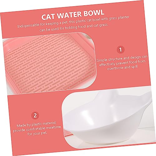 TOYANDONA Katzengras Pflanzbox aus Robustem Kunststoff Doppellagig Leicht zu Reinigen Bequeme Futter und Wasserschale für Katzen und Kleine Haustiere für Hydroponisches Pflanzen von von TOYANDONA