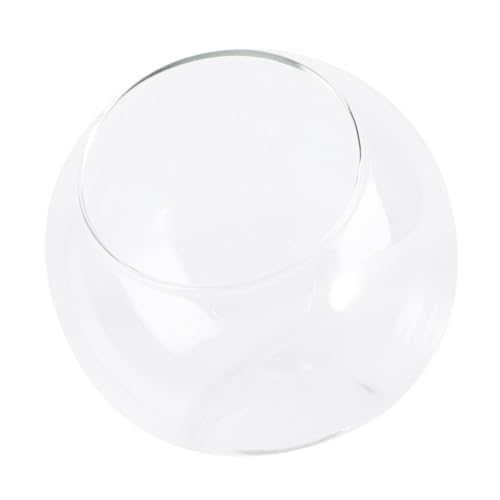 TOYANDONA Kleine Landschaft Glasflasche Øcm DIY Terrarium Behälter Einfache Ökologische Flasche für Pflanzen Wohnraum Bürodekoration Langlebiges Glas Moderne Naturoptik TOYANDONA Kleine Landschaft Glasflasche Øcm DIY Terrarium Behälter Einfache Ökologische Flasche für Pflanzen Wohnraum Bürodekoration Langlebiges Glas Moderne Naturoptik von TOYANDONA