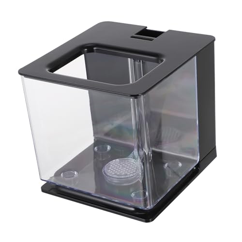 TOYANDONA Kleiner Transparenter Aquarienbehälter Praktischer Fischzuchtbehälter aus für Aufzucht von Fischen Dekoration für Zuhause von TOYANDONA