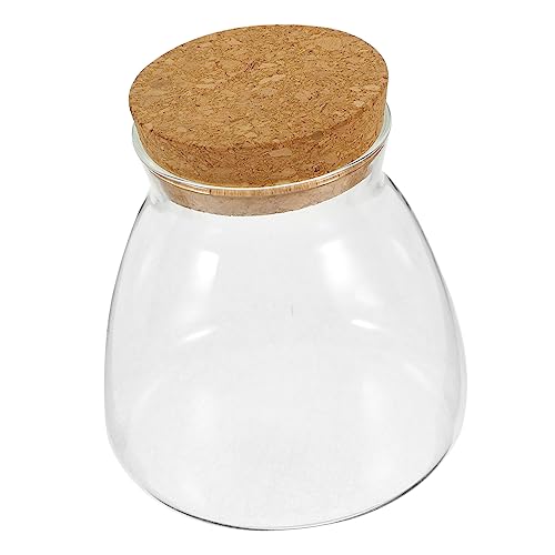TOYANDONA Kleines Glasterrarium Für Pflanzen Transparentes Glasgefäß Dekoratives Landschaftsterrarium Aquarium Für Wasserpflanzen Und Moos Eckige Form von TOYANDONA