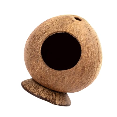 TOYANDONA Kleines Haustier Schlafhaus für Hamster und Warmes Bissbeständiges Nest aus Natürlichem Material für Meerschweinchen und Ratten Haustierkauspielzeug TOYANDONA Kleines Haustier Schlafhaus für Hamster und Warmes Bissbeständiges Nest aus Natürlichem Material für Meerschweinchen und Ratten Haustierkauspielzeug von TOYANDONA
