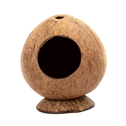 TOYANDONA Kleintier Nest für Hamster Warmes Schlafhaus aus Natürlichem Material für Ratten Igel und Meerschweinchen Gemütlicher Rückzugsort für Winter TOYANDONA Kleintier Nest für Hamster Warmes Schlafhaus aus Natürlichem Material für Ratten Igel und Meerschweinchen Gemütlicher Rückzugsort für Winter von TOYANDONA