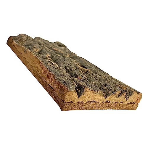 TOYANDONA Kork Terrarium Hintergrund Dekoration für Reptilien Natürliches Korkbark Backdrop für Aquarien und Terrarien Langlebig Sicher für Wasserlebewesen für Kreative Gestaltung TOYANDONA Kork Terrarium Hintergrund Dekoration für Reptilien Natürliches Korkbark Backdrop für Aquarien und Terrarien Langlebig Sicher für Wasserlebewesen für Kreative Gestaltung von TOYANDONA