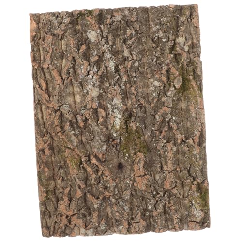 TOYANDONA Korkbaum Dekoration für Terrarien Natürliche Korkrinde Plattform für Schlangen Echsen und Reptilien Kletterhilfe für Haustiere Sicheres und Langlebiges Zubehör TOYANDONA Korkbaum Dekoration für Terrarien Natürliche Korkrinde Plattform für Schlangen Echsen und Reptilien Kletterhilfe für Haustiere Sicheres und Langlebiges Zubehör von TOYANDONA