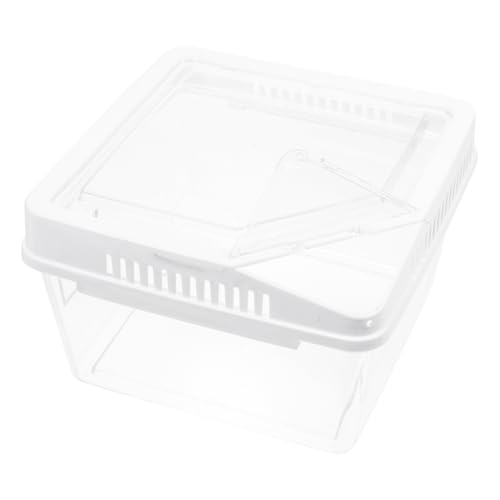 TOYANDONA Kriechender Haustierbehälter Lüftungslöchern Für Kleine Reptilien Und Insekten Praktische Transportbox Für Spinnen Geckos von TOYANDONA