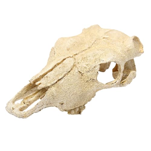 TOYANDONA Künstlicher Schafschädel Aquarium Ornament aus Langlebigem Harz Fischversteck und Dekoration Geeignet für Süß und Fischfreundlich Stilvolle Landschaft für Fisch und von TOYANDONA