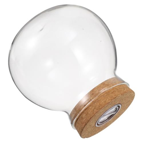 TOYANDONA LED Glasflasche mit Weißem LED Licht Transparente Landschaftsflasche für DIY Mikrolandschaften und Fischbecken Dekoratives Pflanzglas für Zuhause und Büro TOYANDONA LED Glasflasche mit Weißem LED Licht Transparente Landschaftsflasche für DIY Mikrolandschaften und Fischbecken Dekoratives Pflanzglas für Zuhause und Büro von TOYANDONA