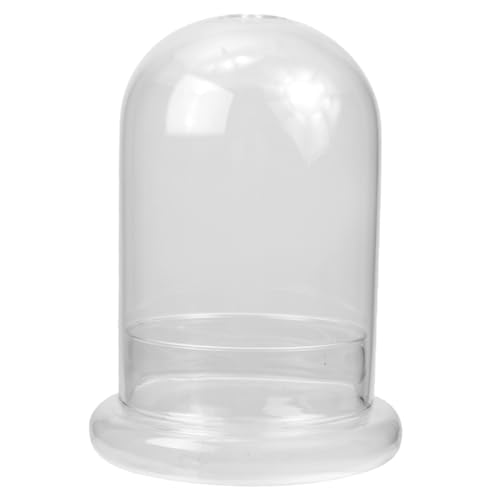 TOYANDONA Mikrolandschaftsflasche Transparentes DIY Ökologiegefäß für Pflanzen Moos Öffnung zur Dekoration von Wohnzimmer von TOYANDONA
